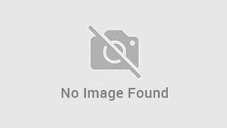 Error: gallery has'nt image